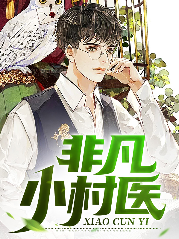非凡小村医张小凡143