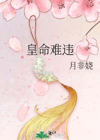 皇命难违丞相公子嫁将军免费阅读