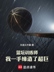 篮坛训练师小说