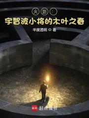 火影:宇智波小将的木叶之春小说