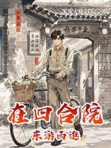 赵德的四合院生活小说