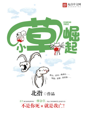 小草崛起TXT下载