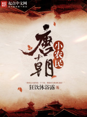 唐朝小农民李天的小说