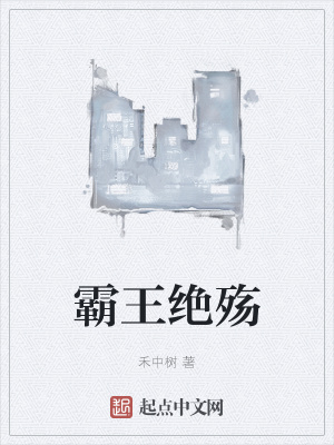 霸王绝枪小说
