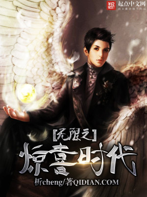无限惊喜公司