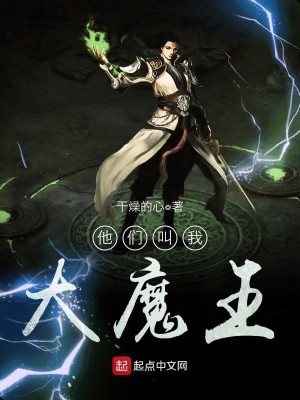 他们叫我大魔王小说