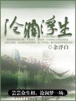 沧澜浮光