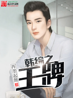 韩综之王牌 小说