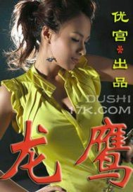 龙鹰小说