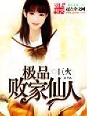 极品败家子小说百度百科