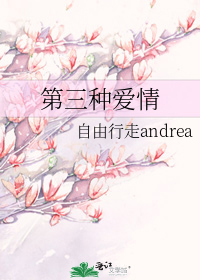 第三种爱情结局