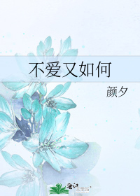 不爱又如何 颜夕