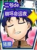 二爷的崩坏命运夜起点