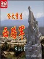 浴火重生西路军小说