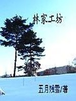 林家工坊全本
