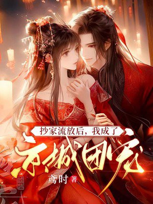 抄家流放古代小说