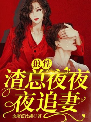 狼性总裁夜夜追妻