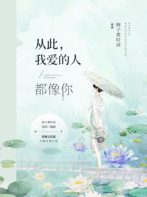 从此我爱的人都像你免费阅读