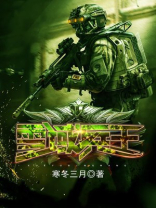 雪域兵王TXT下载
