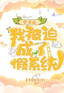 穿书后,我被迫成了假系统2k小说