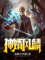 小说神婿