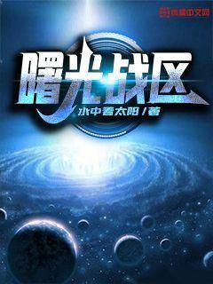 曙光战区TXT下载