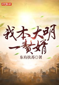 我本大明一赘婿TXT