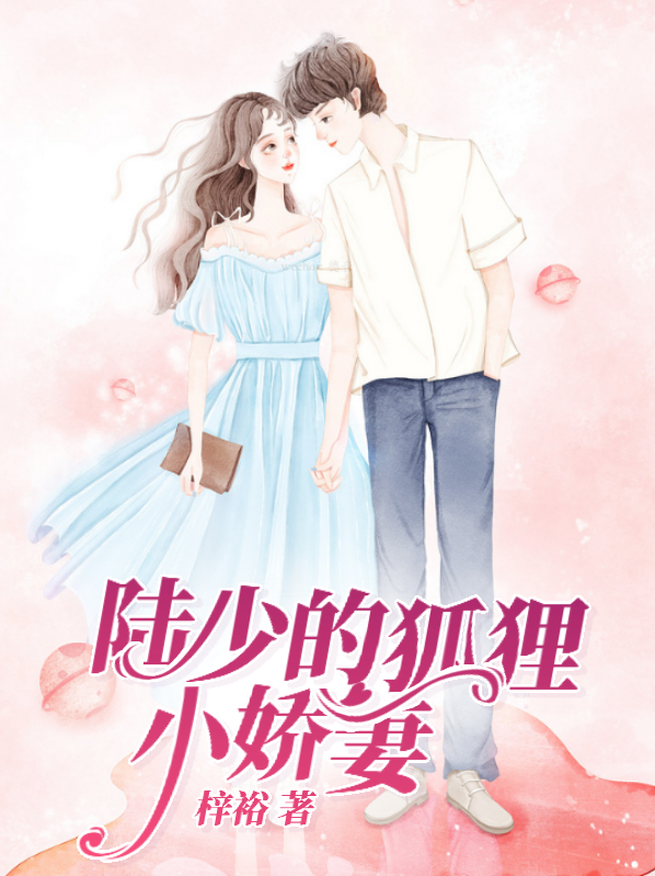 陆少追小娇妻