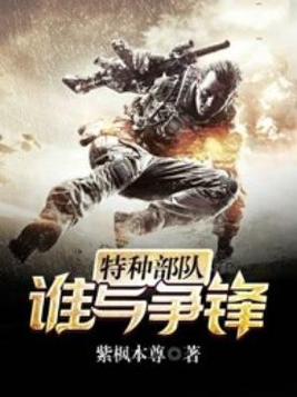 特种部队:谁与争锋 第一季