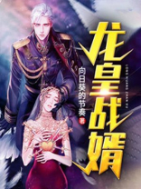龙皇战婿 向日葵的节奏