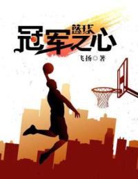 篮球之冠军之心 小说