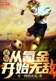 足球氪金系统小说