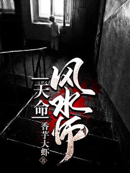 天命风水师TXT下载