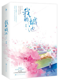 我的城池营垒小说
