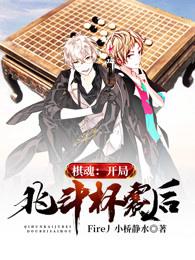 棋魂:开局北斗杯赛后 小说