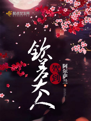 钦差大人电视剧
