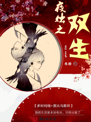光夜双生图片