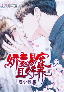 娇宠小妻