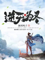 逆天准圣 小说
