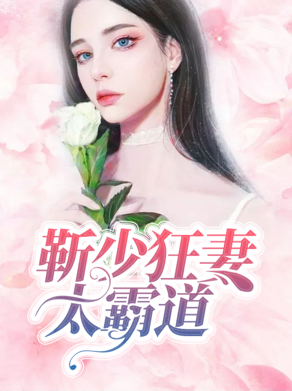 靳少小说