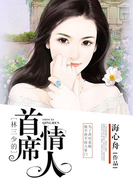 主角是林少的小说