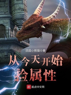 我能看见万物属性