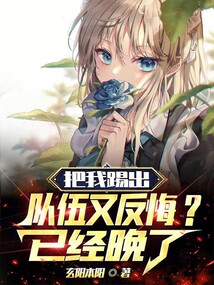 把我踢出队伍又反悔?已经晚了txt