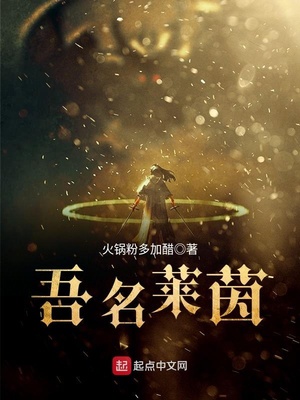吾名莱茵等级划分