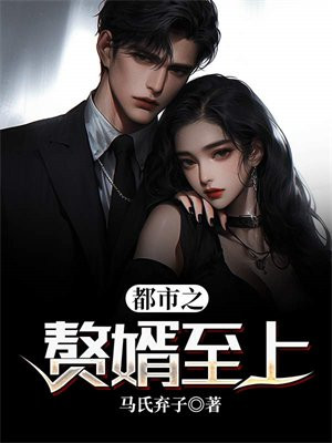 都市至尊赘婿电视剧