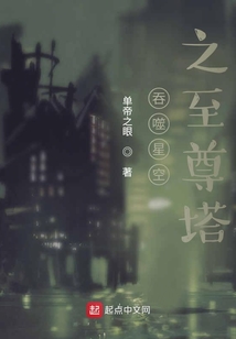 吞噬星空之至尊塔TXT免费下载