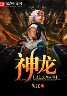 神龙怎么花