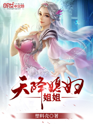 天降仙子姐姐 笔趣