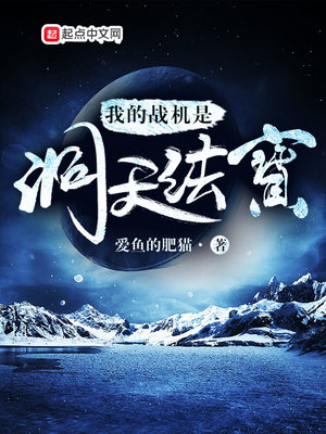 我的战机6666