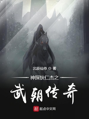 神探狄仁杰之武朝传奇阅读